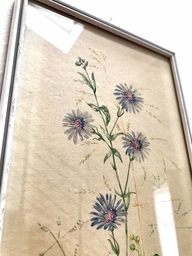 Gerahmtes aquarell mid century - aquarell,